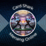 Card Shark Menang Online